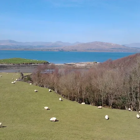 Westland Traditional Dated 1700's *