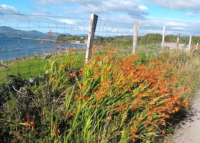 Westland Traditional Dated 1700's Ardea
