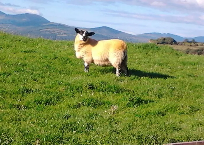 Westland Traditional Dated 1700's 別荘