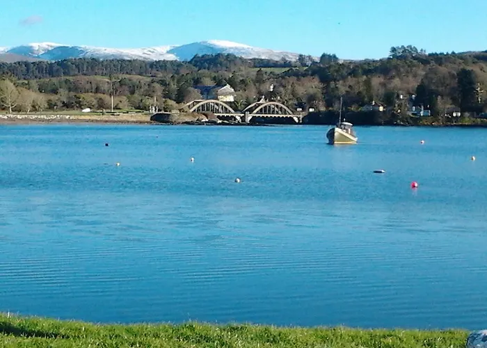 Westland Traditional Dated 1700's Ardea