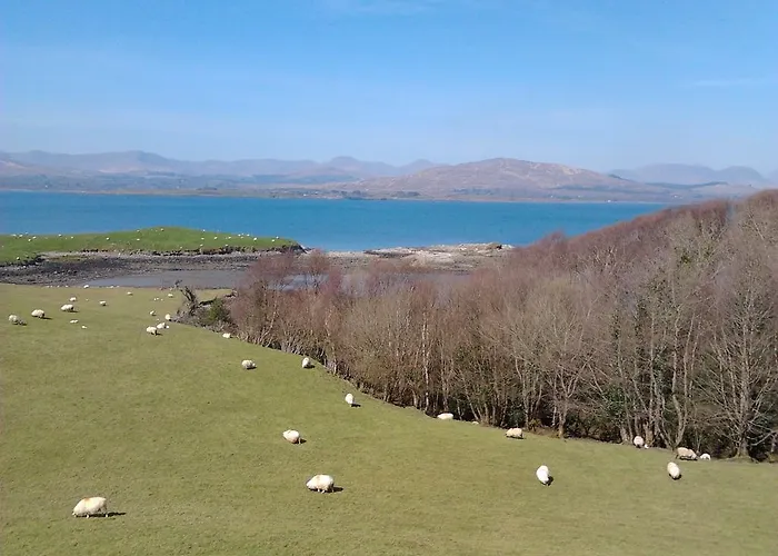 Westland Traditional Dated 1700's *