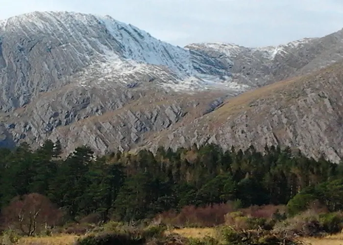 Westland Traditional Dated 1700's *