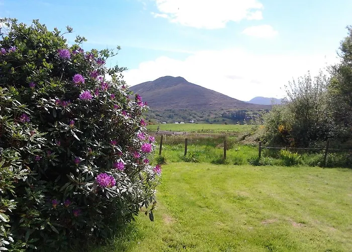 Westland Traditional Dated 1700's * Ardea